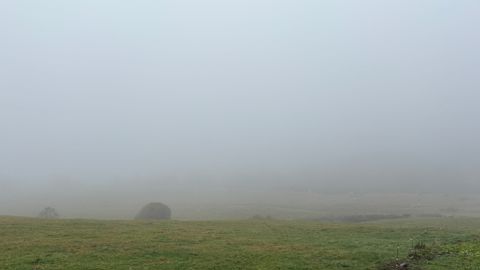 Ces prochains jours, l'Hexagone va voir arriver une descente d'air froid.